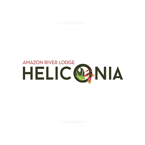 Heliconia