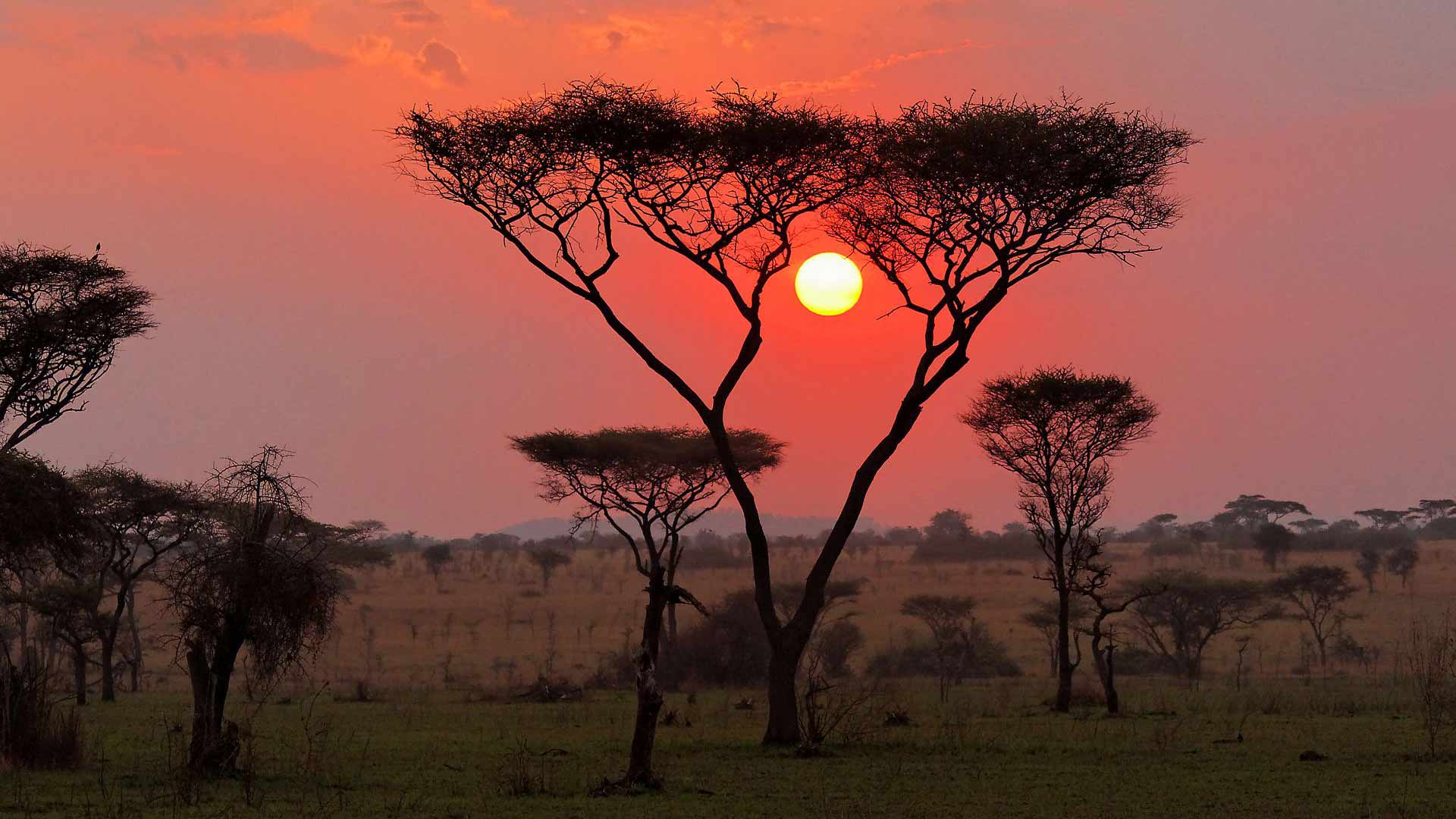 Kurzvortrag Tansania Kenia
