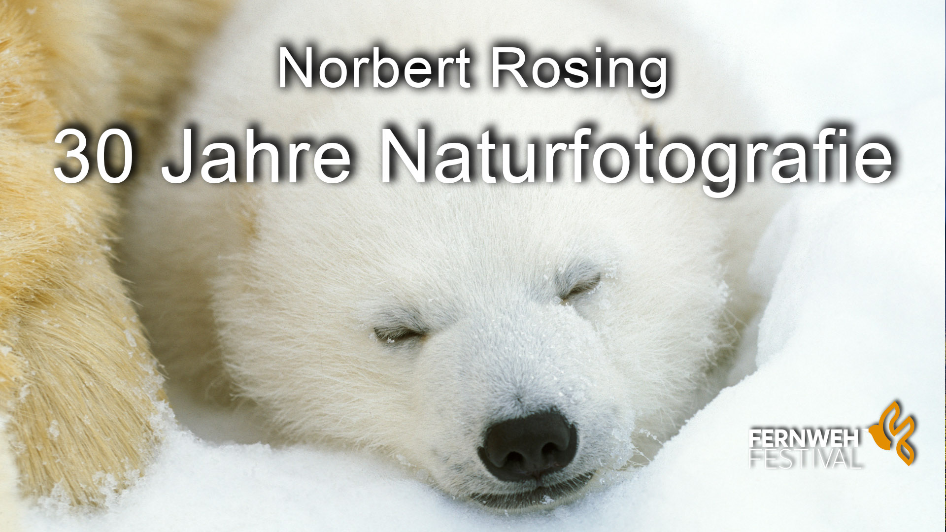 Norbert Rosing 30 Jahre Naturfotografie