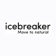 Icebreaker