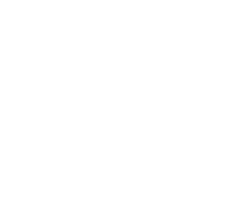 The Voyager