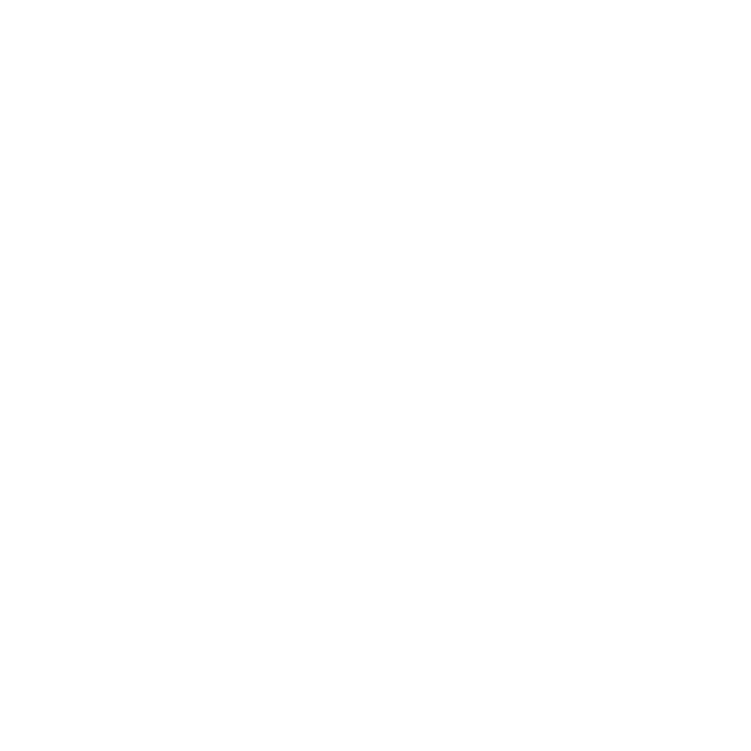 The Voyager